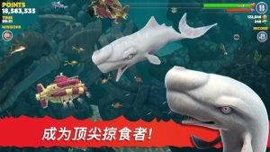 饥饿鲨鱼进化
