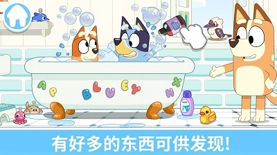 布鲁伊:一起玩吧(2)