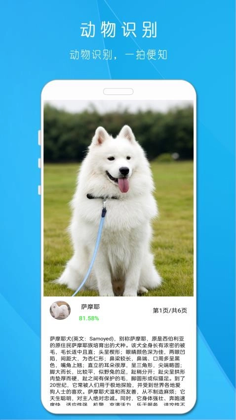 拍照识万物手机版