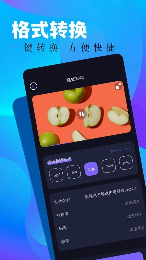 蓝豚豚