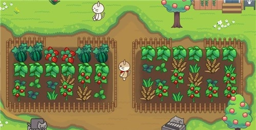 森林浴场最新版