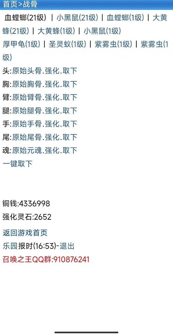 召唤之王(2)