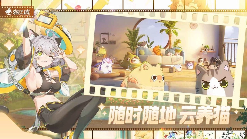 猫之城2026(3)