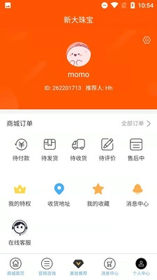 新大珠宝图4