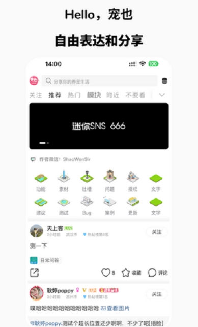 宠也
