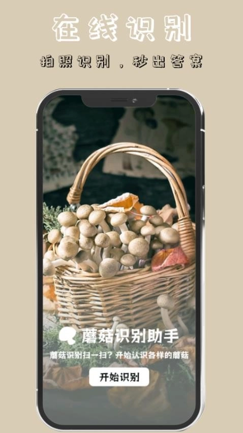 蘑菇识别高手图3