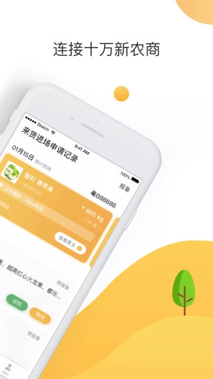 大白菜图2