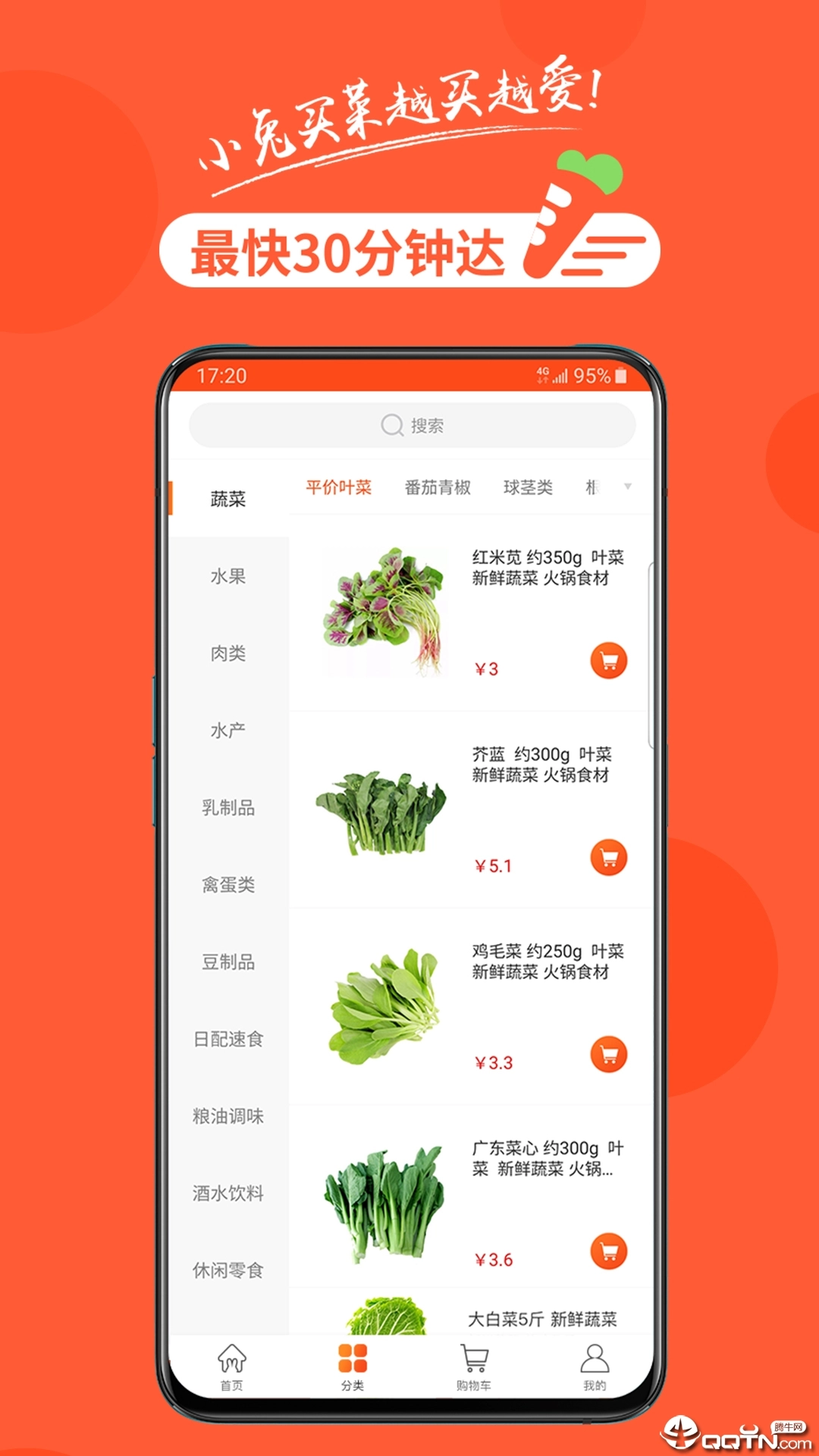 小兔买菜(1)