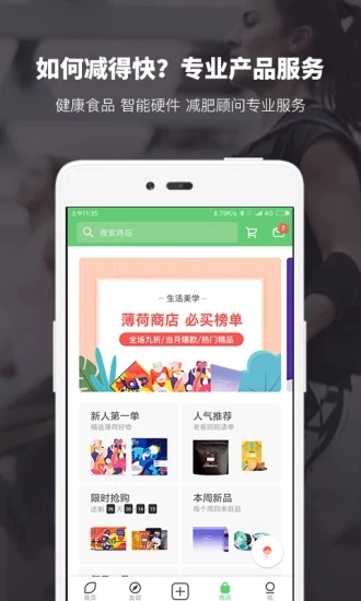 薄荷图4
