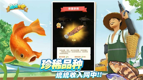 鱼塘传奇2025(1)