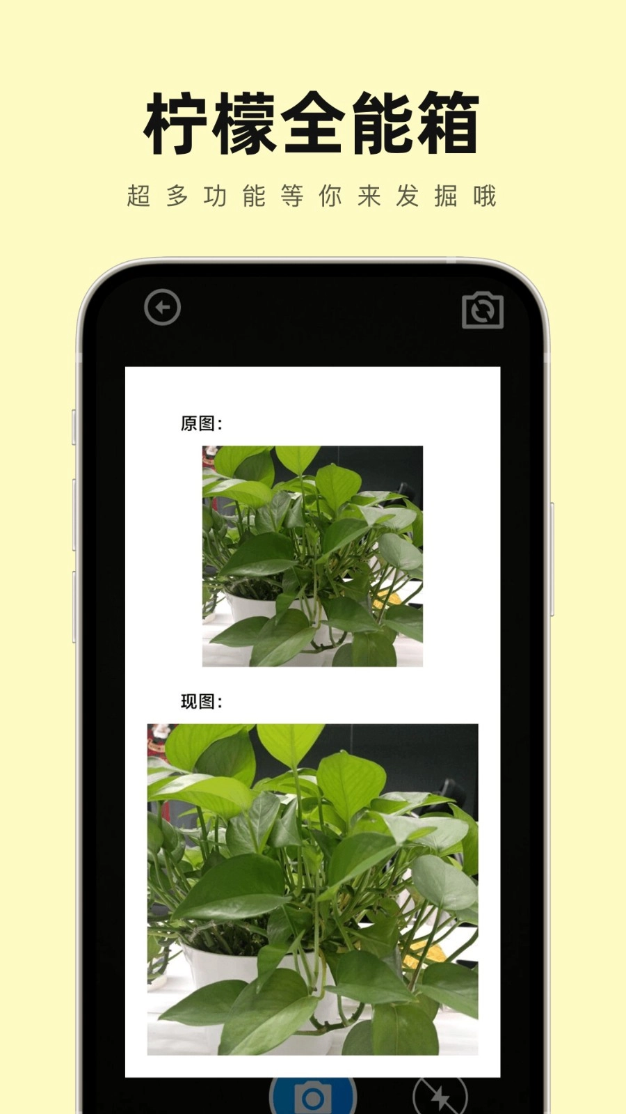 柠檬全能箱-图2