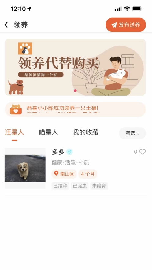 财猫双犬