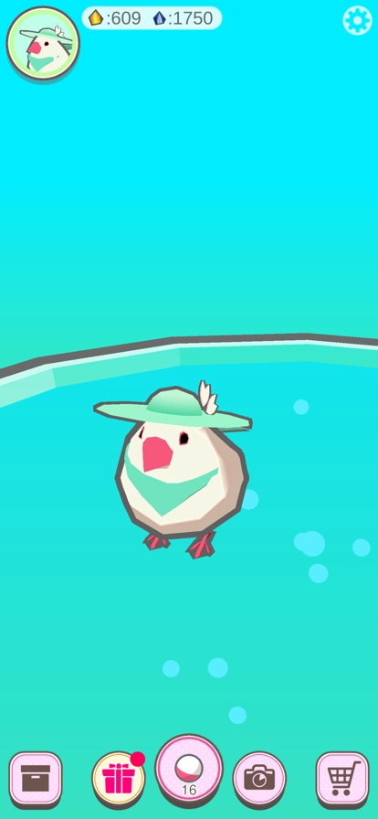 文鸟芭菲宠物游戏(1)