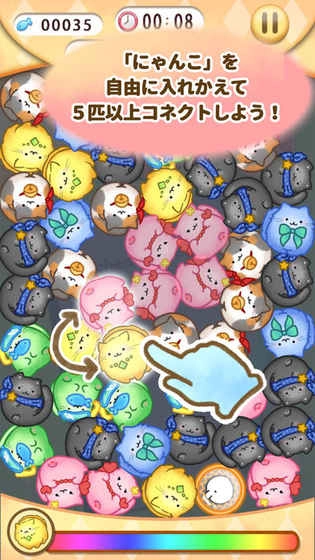 猫咪连结图3