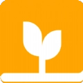 麦子免费小说