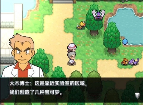 口袋妖怪黑白手机版(3)