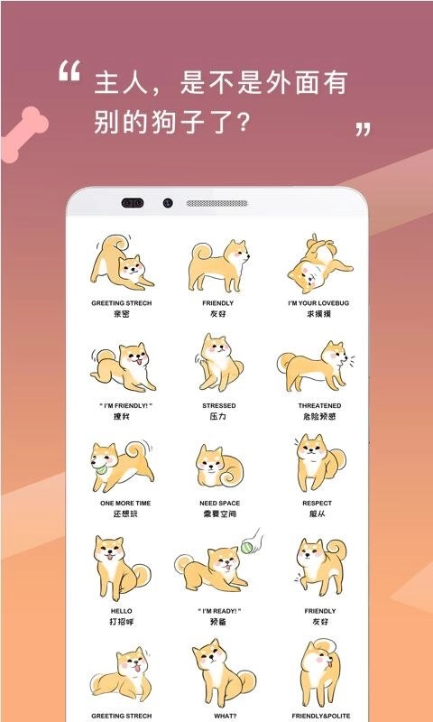 人狗交流器