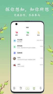 探枝