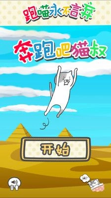 奔跑吧猫叔2025