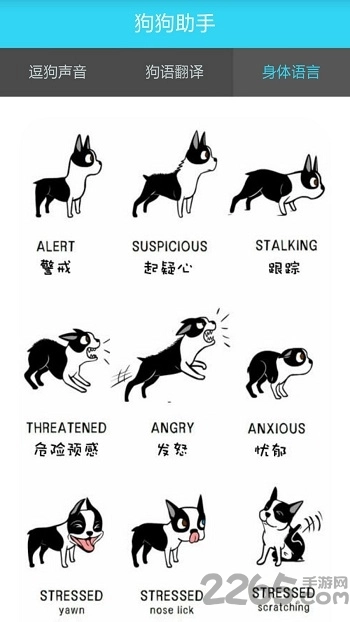 人狗交流器