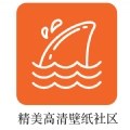 飞鲨壁纸