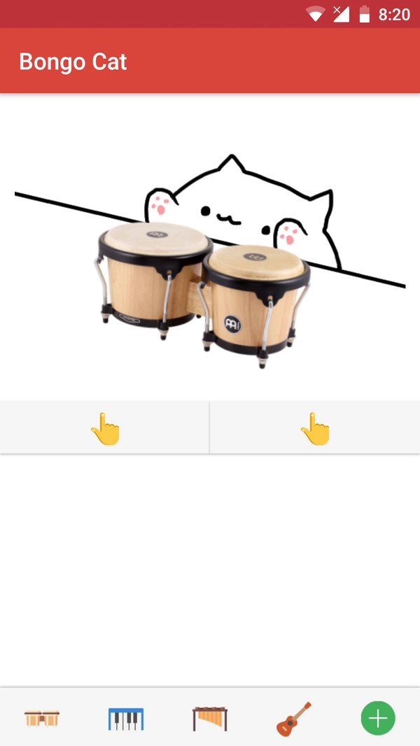 邦戈猫-图2