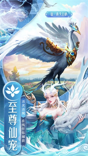 剑踪情缘(1)