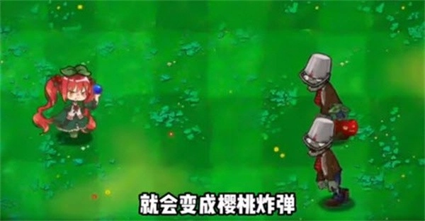 荔枝的植物世界(3)