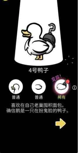 奇怪的鸭子(4)