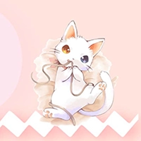 小猫交流器