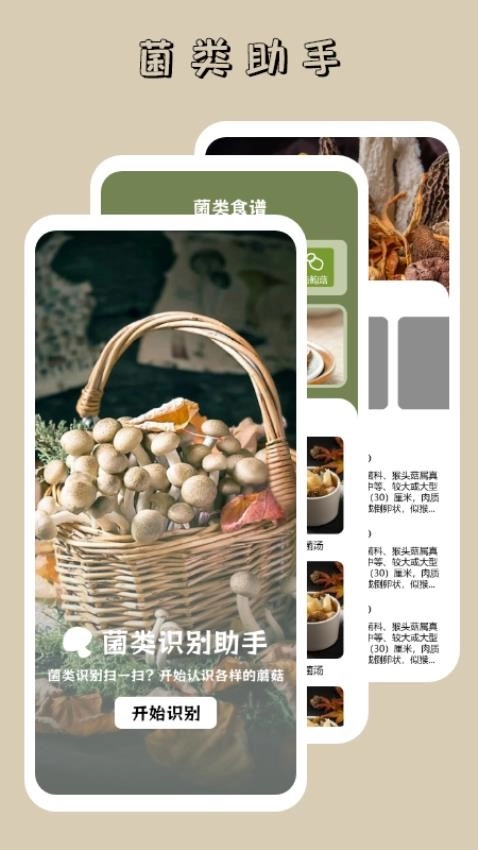 蘑菇识别高手图1