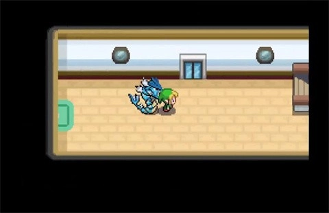 口袋妖怪黑白手机版(1)