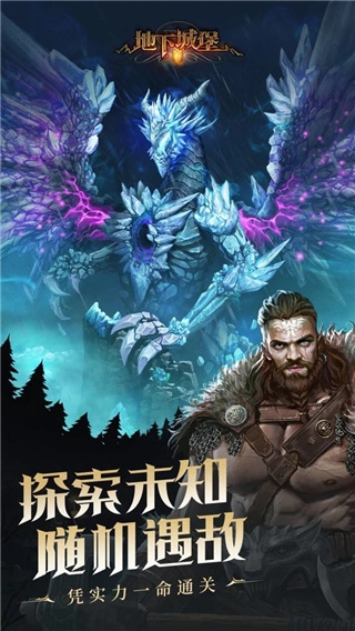 地下城堡2：黑暗觉醒安卓版(5)