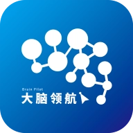 大脑领航