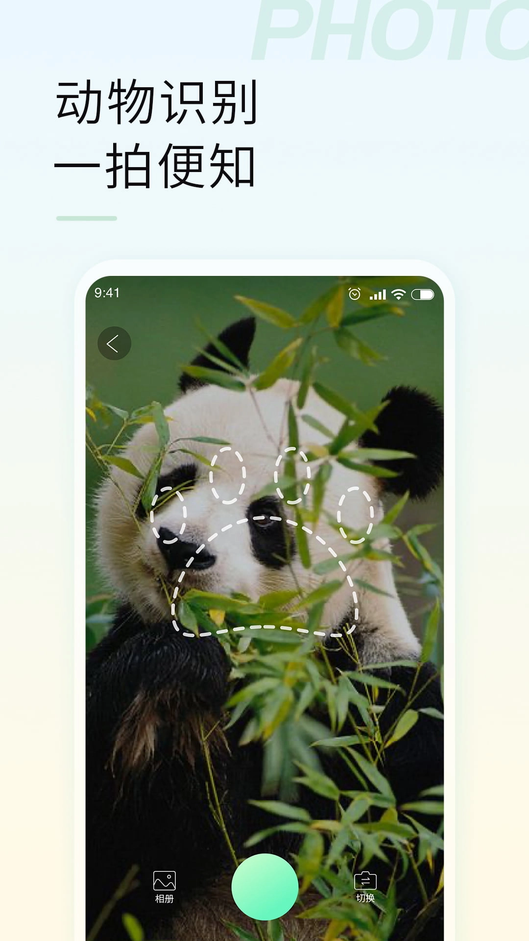智能拍照识物(3)