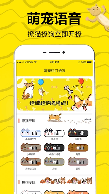 猫狗翻译(1)