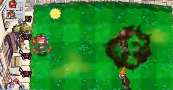 荔枝的植物世界(1)