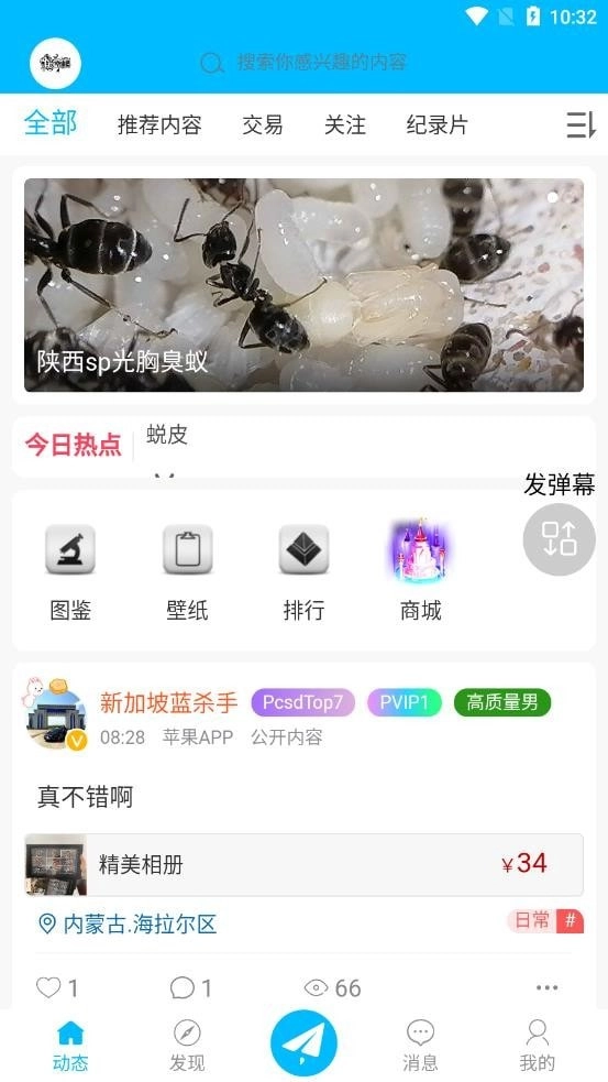 爬宠时代2025最新版