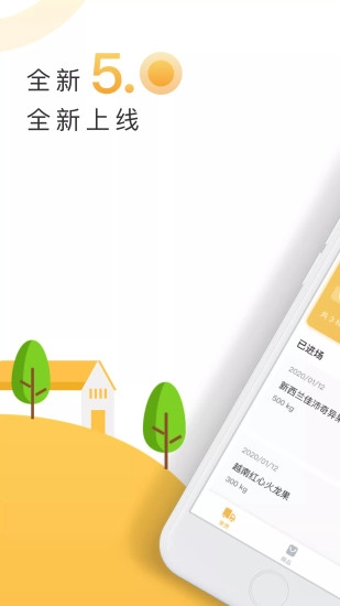 大白菜图1