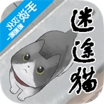 迷途猫