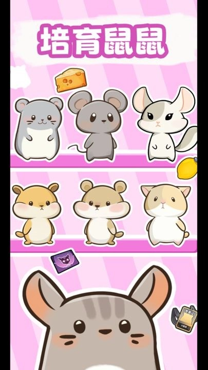 社会我猫哥游戏(1)