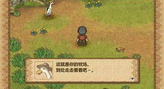 欢迎来到绵羊村手机版(3)