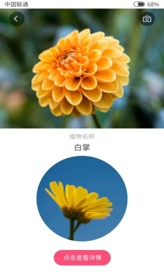 扫码识花图3