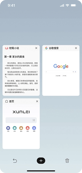 迅雷浏览器图3