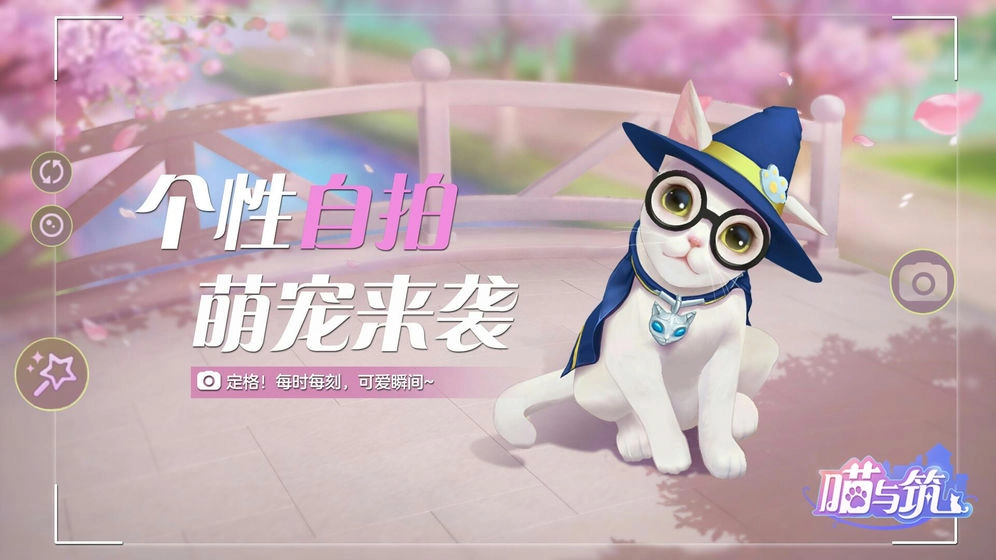 喵与筑(3)