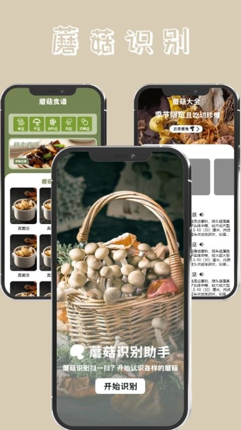蘑菇识别高手图2