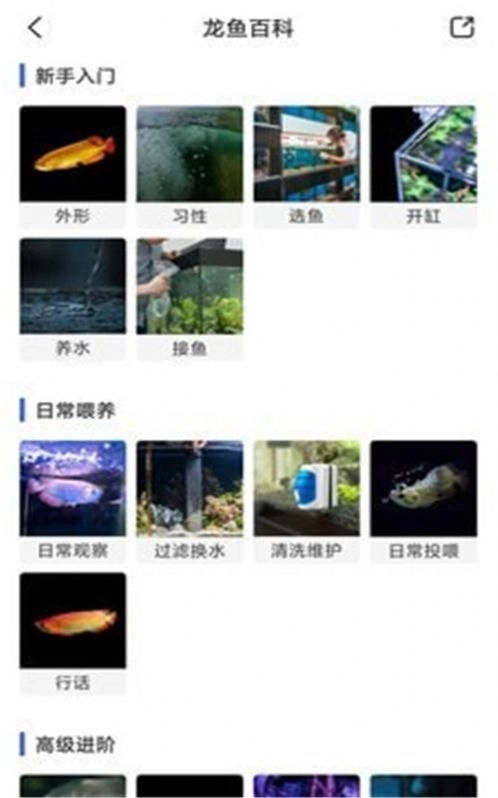 鲲天下图1