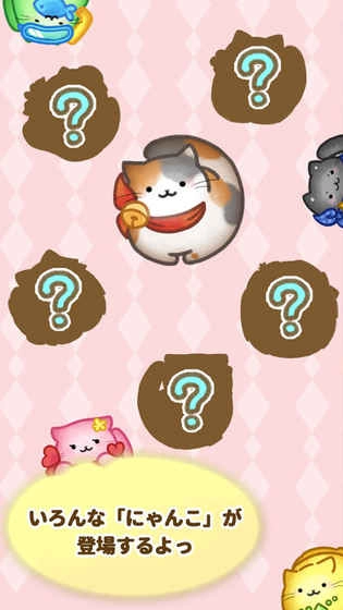 猫咪连结图1