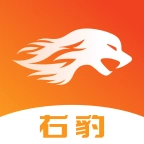 右豹