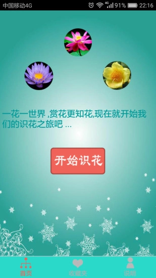 看图识花